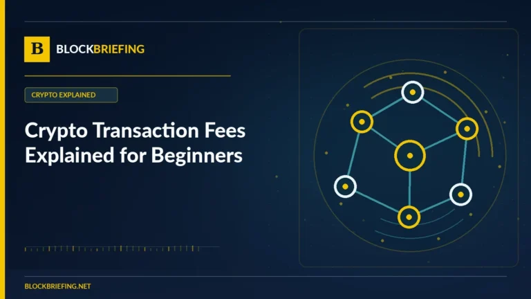 Crypto Transaction Fees Explained for Beginners | BlockBriefing editorial illustration