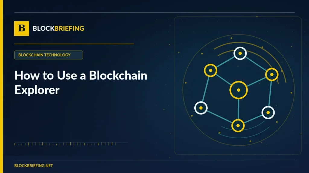 How to Use a Blockchain Explorer | BlockBriefing editorial illustration